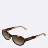 Acetate Cat Eye Sunglasses