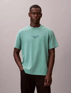Acid Wash Logo Graphic Classic T-Shirt