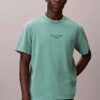 Acid Wash Logo Graphic Classic T-Shirt