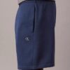 Archive Logo Fleece Shorts
