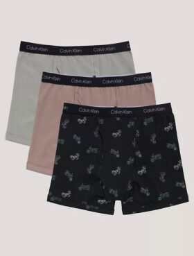 Boys Cotton Stretch 3-Pack Boxer Brief