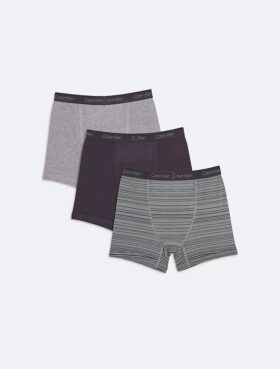 Boys Cotton Stretch Logo 2-Pack Boxer Brief