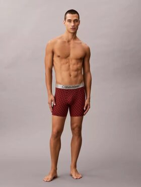 Brushed Microfiber Stretch Boxer Brief