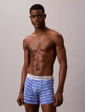 Brushed Microfiber Stretch Boxer Brief