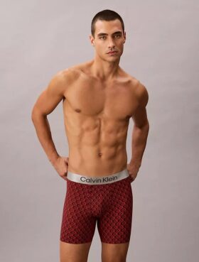 Brushed Microfiber Stretch Boxer Brief