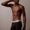 Brushed Microfiber Stretch Boxer Brief