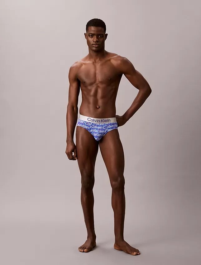 Brushed Microfiber Stretch Hip Brief Brushed Microfiber Stretch Hip Brief