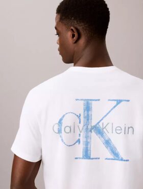 Brushstroke Monologo Graphic Tee