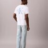 Brushstroke Monologo Graphic Tee Brushstroke Monologo Graphic Tee