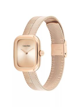 Curved Mesh Watch