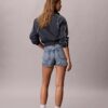 Denim Mini Shorts Denim Mini Shorts