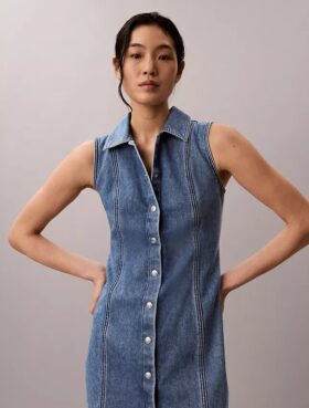 Denim Seamed Mini Dress