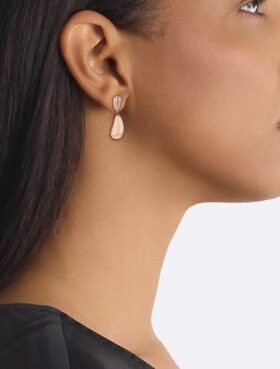 Drop Earrings