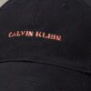 Embroidered Graphic Logo Cap Embroidered Graphic Logo Cap