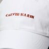Embroidered Graphic Logo Cap Embroidered Graphic Logo Cap