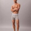 Icon Cotton Stretch 3-Pack Boxer Brief