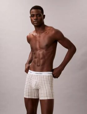 Icon Cotton Stretch Holiday Boxer Brief