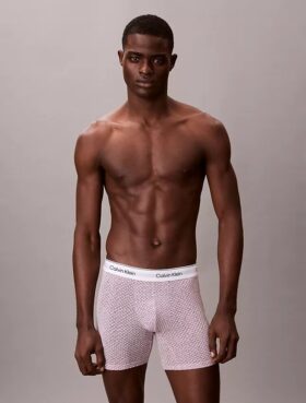 Icon Cotton Stretch Limited Edition Boxer Brief