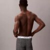Icon Cotton Stretch Limited Edition Boxer Brief