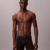 Icon Cotton Stretch Limited Edition Boxer Brief