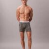 Icon Cotton Stretch Limited Edition Boxer Brief