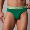 Icon Cotton Stretch Pride 5-Pack Brief