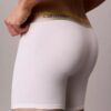 Icon Cotton Stretch Pride Boxer Brief
