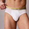 Icon Cotton Stretch Pride Hip Brief