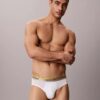 Icon Cotton Stretch Pride Hip Brief