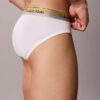 Icon Cotton Stretch Pride Hip Brief