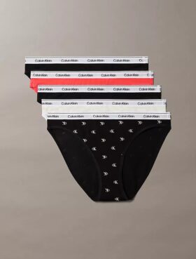 Icon Logo 5-Pack Low Rise Bikini