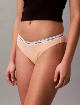 Icon Logo Bikini