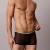 Icon Mesh Pride Low Rise Trunk
