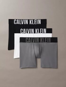 Intense Power Micro 3-Pack Boxer Brief