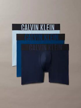 Intense Power Micro 3-Pack Boxer Brief