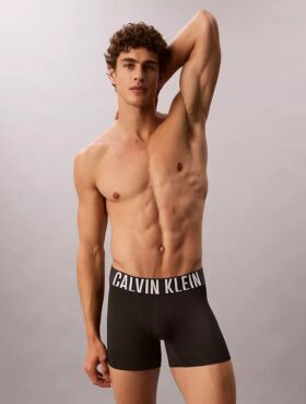 Intense Power Micro 3-Pack Boxer Brief