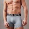 Intense Power Micro 3-Pack Boxer Brief