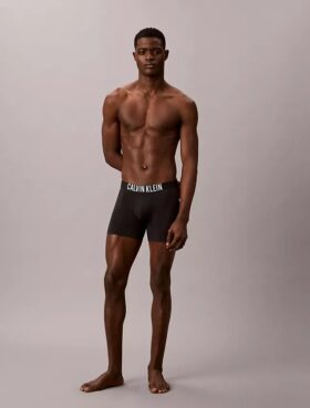 Intense Power Motion Boxer Brief