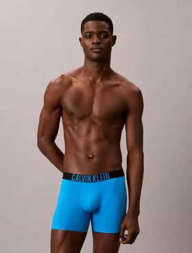 Intense Power Motion Boxer Brief