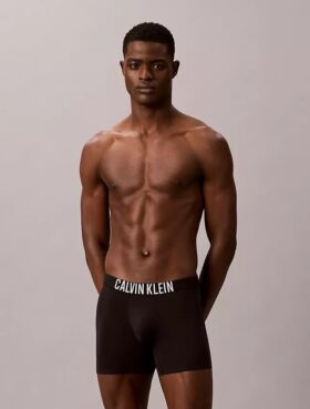 Intense Power Motion Boxer Brief