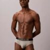 Intense Power Motion Brief