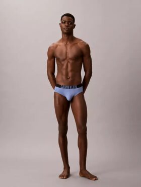 Intense Power Motion Brief