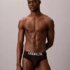 Intense Power Motion Brief