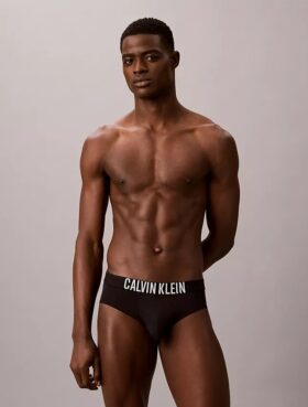 Intense Power Motion Brief