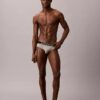 Intense Power Motion Brief