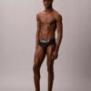 Intense Power Motion Brief