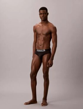 Intense Power Motion Brief