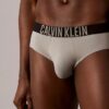 Intense Power Motion Brief
