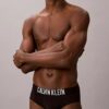 Intense Power Motion Brief