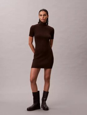 Lurex Merino Wool Blend Rib Sweater Dress